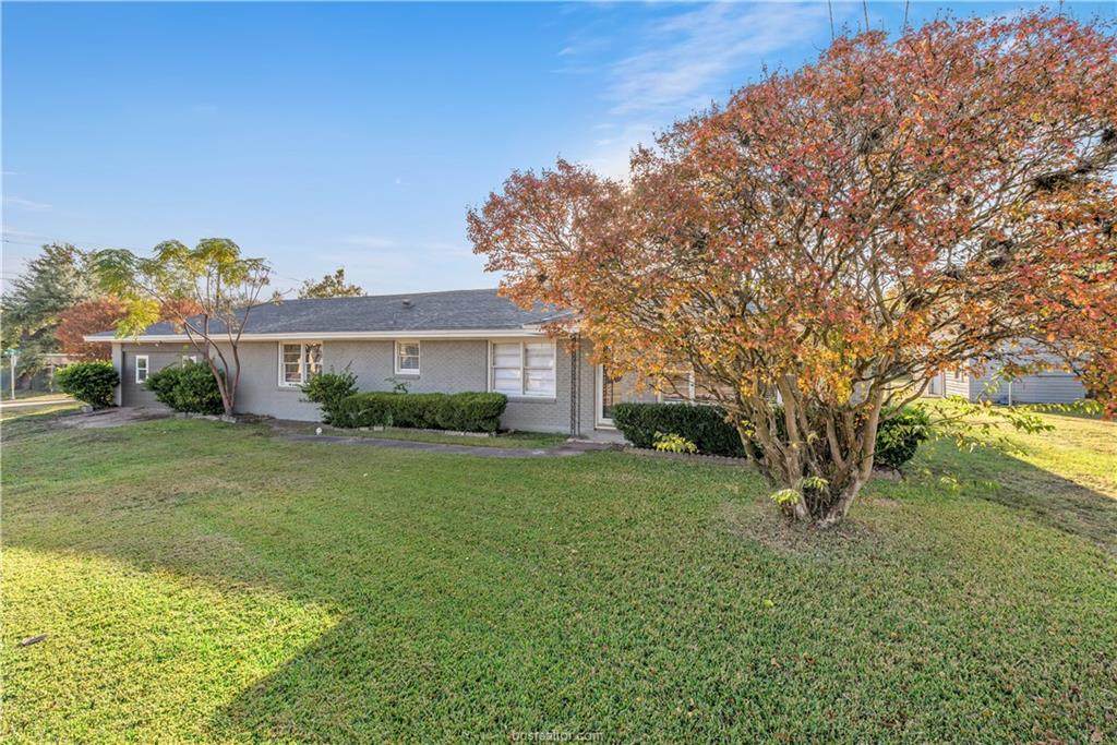 1105 San Jacinto Lane - Photo 1