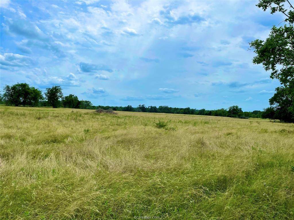 TBD Morgan Spur - Photo 1