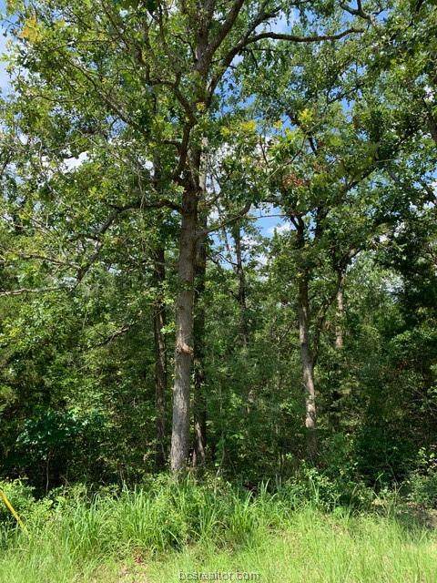 164 Hickory Ridge Drive - Photo 1