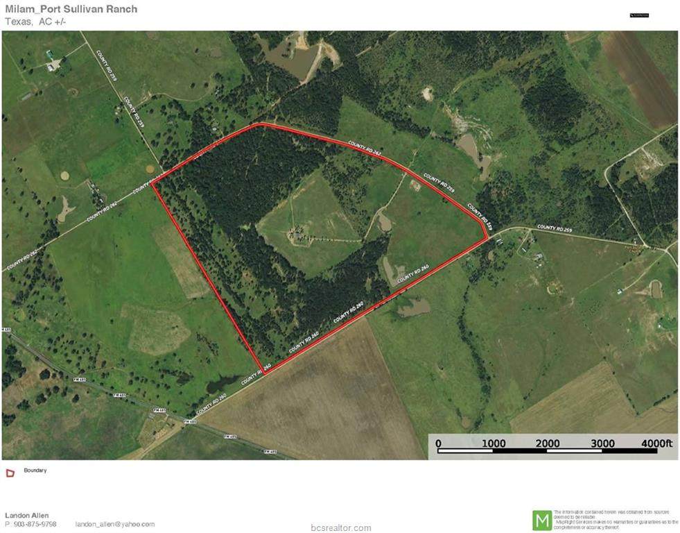 2401 County Road 259 - Photo 1