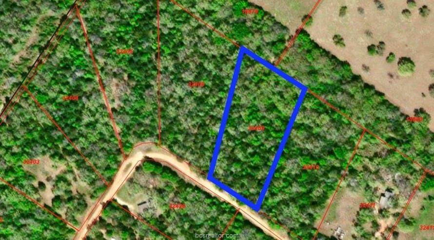 TBD Cedar Creek Road - Photo 1