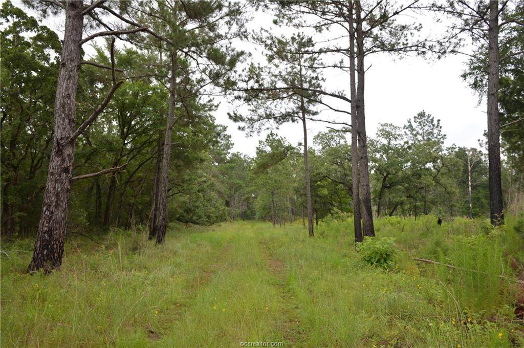 TBD Neff Lane - Photo 1