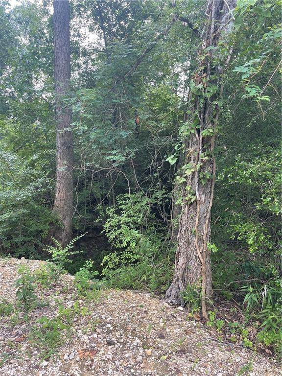 n/a Bird Pond Road - Photo 1