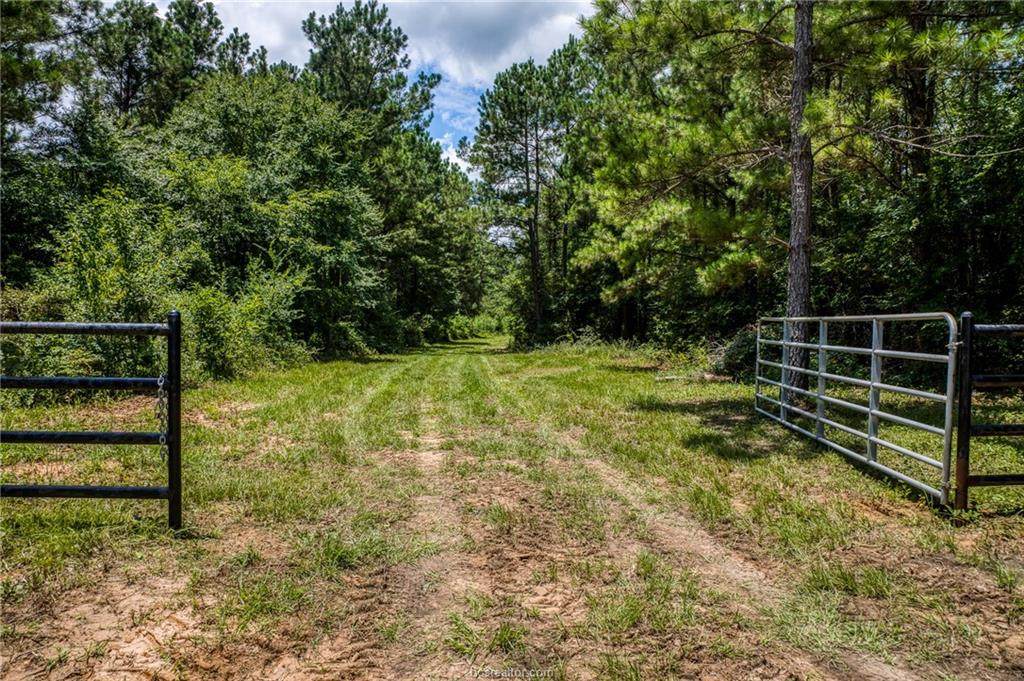 TBD County Road 448 - Photo 1