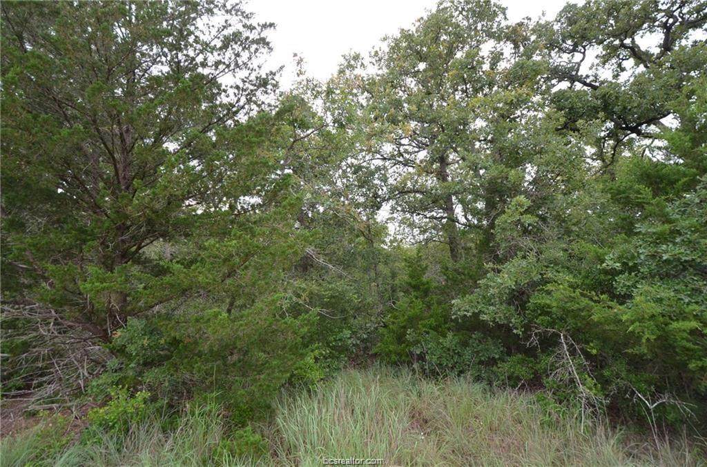 894 Big Berry Road - Photo 1