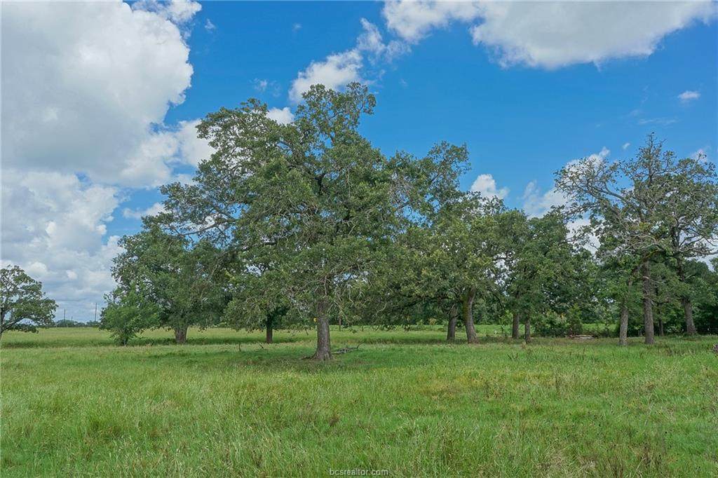 14.75 Acres Highway 21 - Photo 1