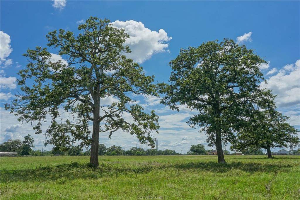 10.4 Acres Highway 21 - Photo 1
