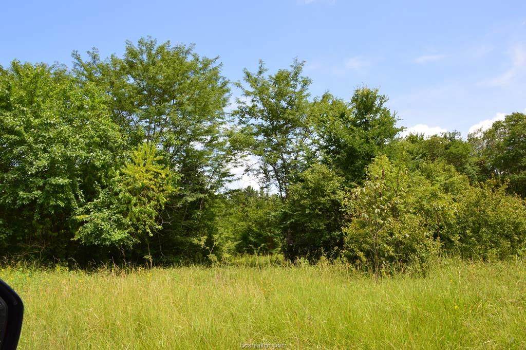 0025 County Road 208 - Photo 1