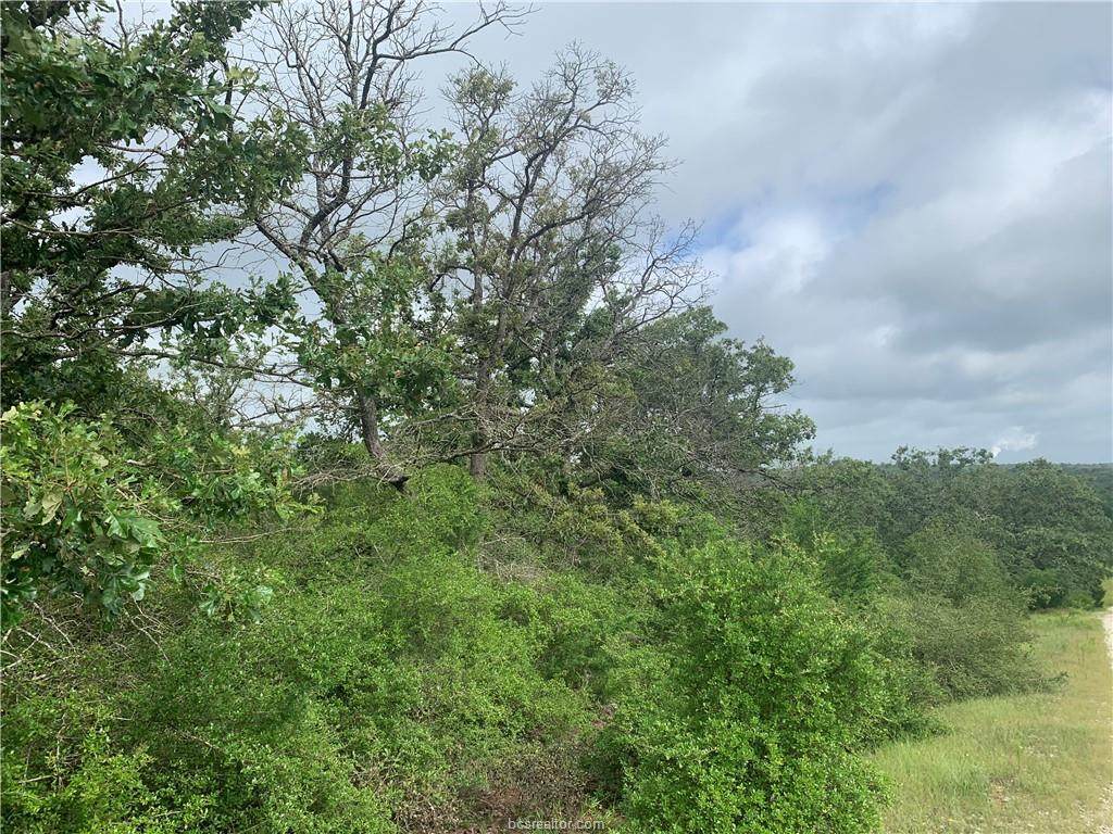 4659 Red Rock Road - Photo 1