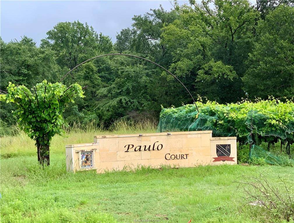 5024 Paulo Court - Photo 1