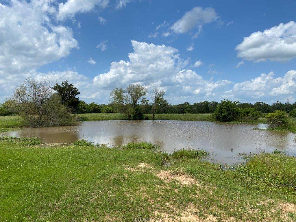 (+/- 50 Ac) TBD Sandy Hill Ln - Photo 1