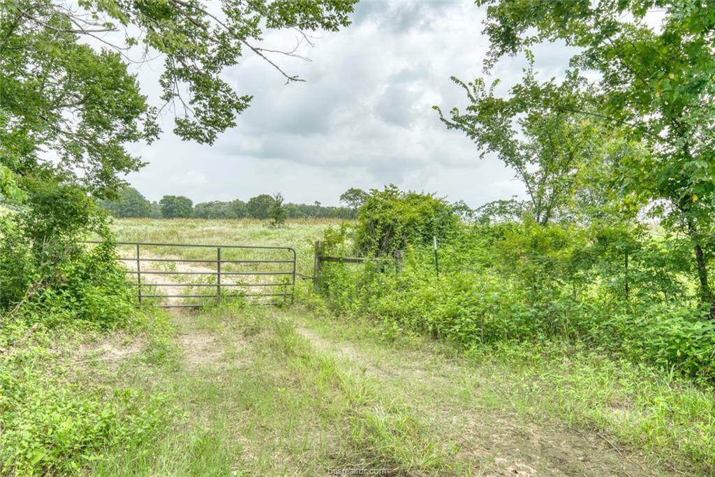 TBD Cr 473 - 24.60 Acres - Photo 1