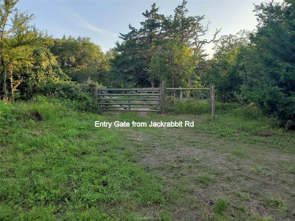 11779 Jackrabbit Lane - Photo 1