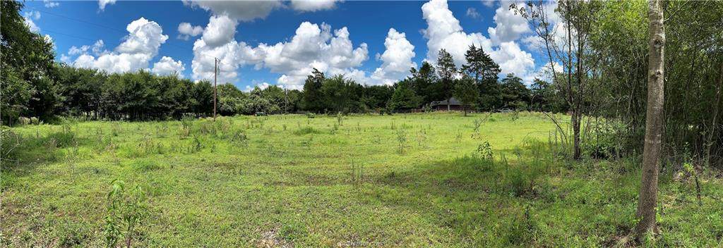Lots 1 & 2 TBD Fm 2446 Farm To Market Road - Photo 1