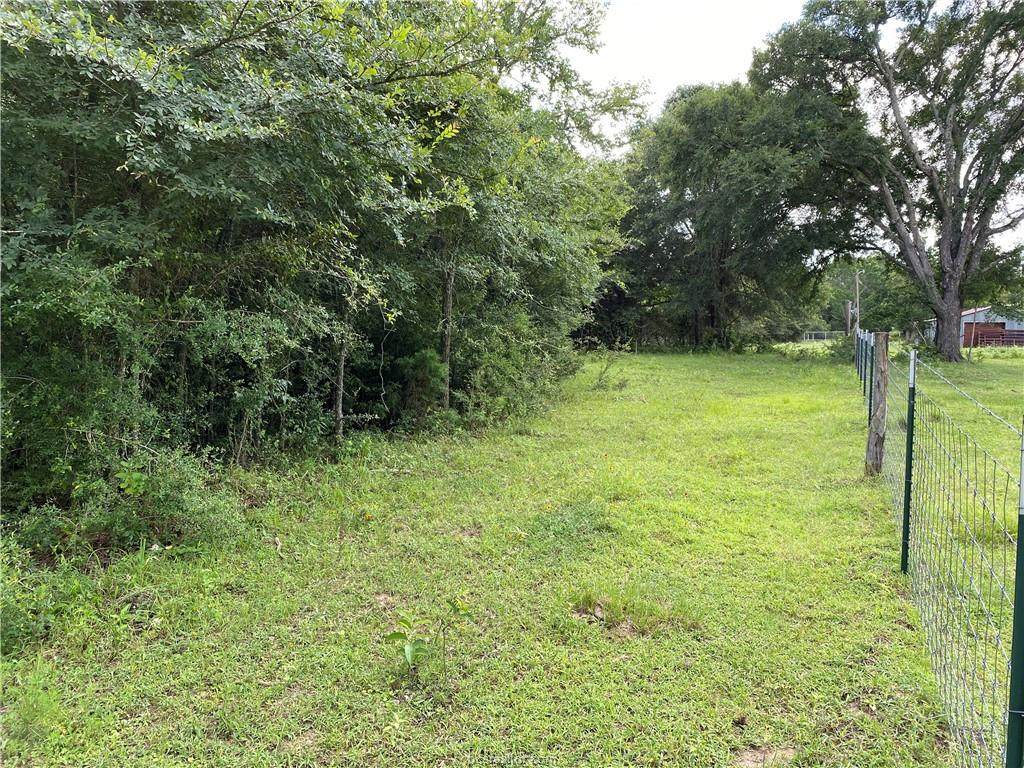 Lot 3 TBD Fm 2446 Farm To Market Road - Photo 1