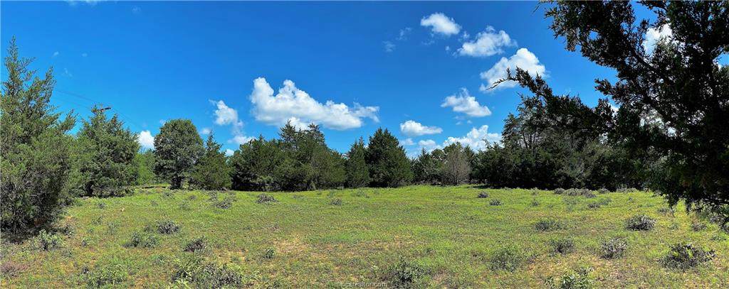 Lot 7 TBD Fm 2446 & Mccormick Rd Farm To Market Road - Photo 1