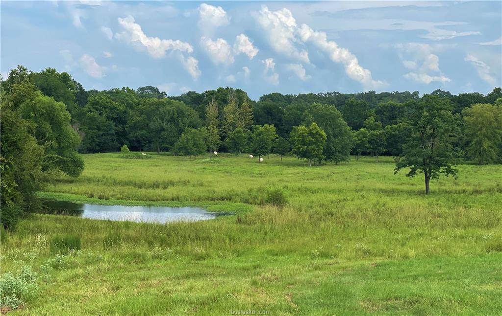 14 +/- Acres Fm 1940 - Photo 1