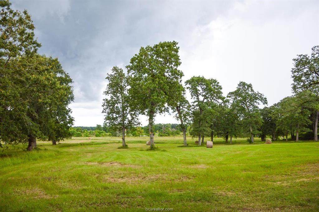Tract 12 Reagan Reserve - Photo 1