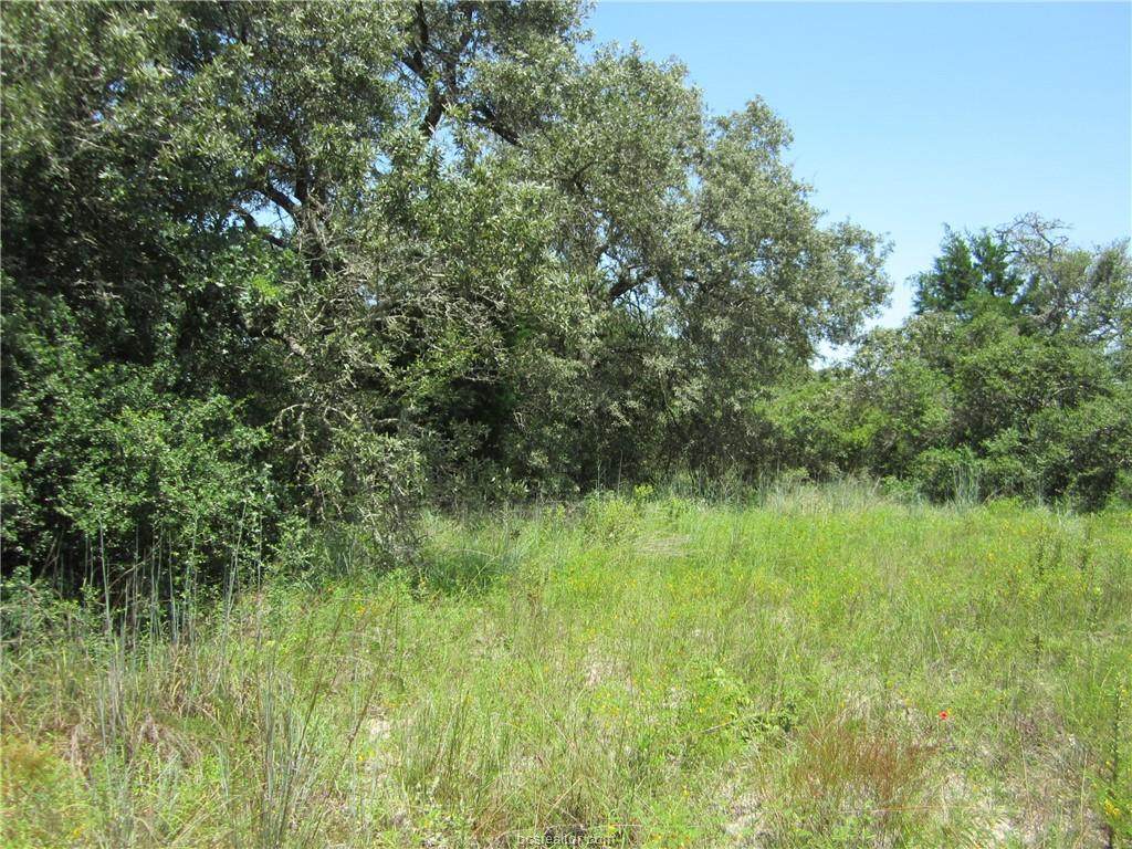 00 Walker Drive - Photo 1