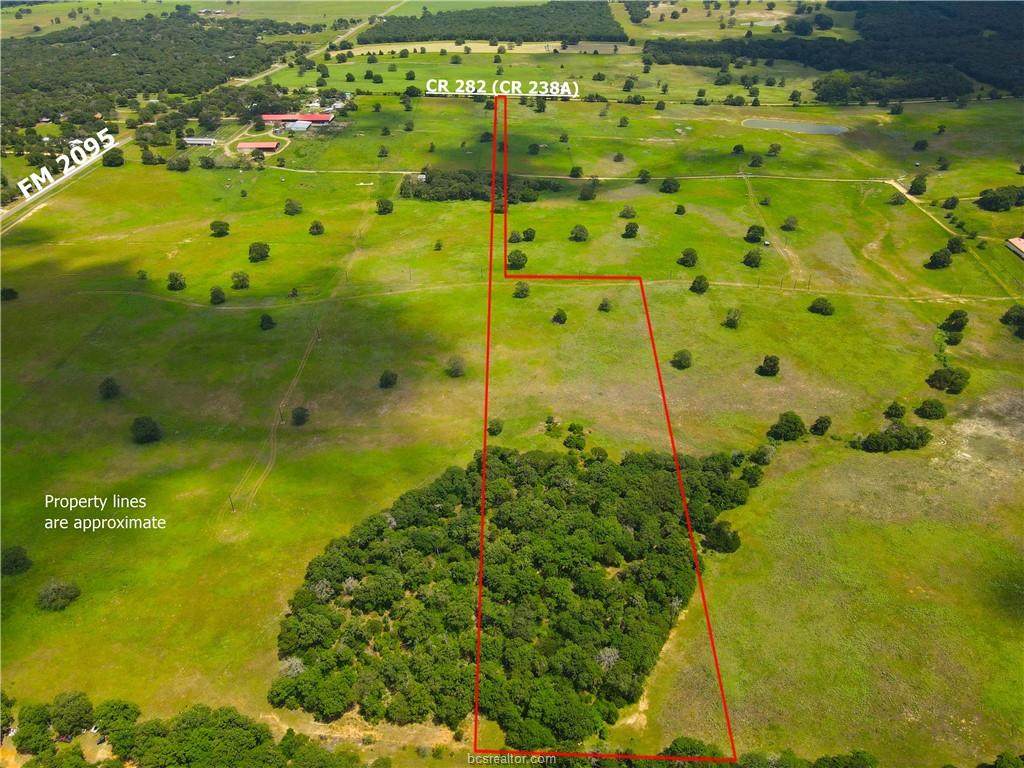 TBD County Road 238A Lot 9 - Photo 1