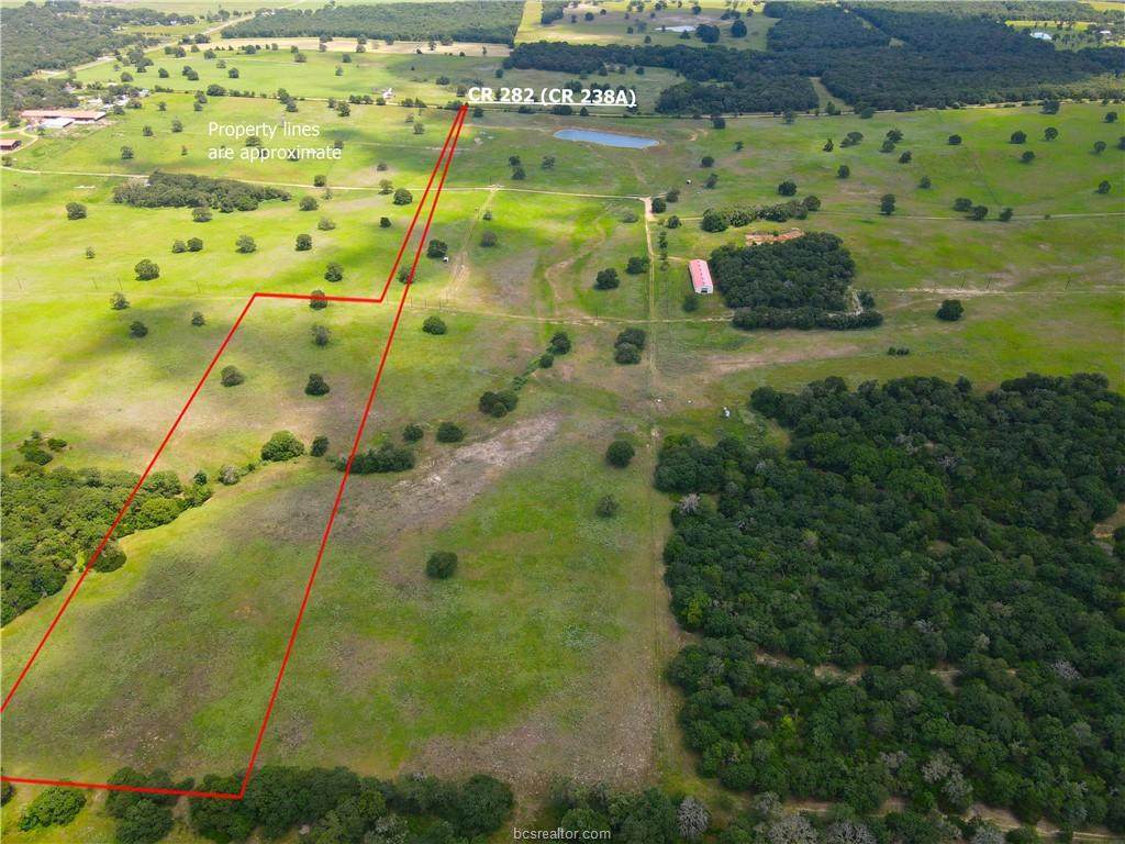 TBD County Road 238A Lot 12 - Photo 1