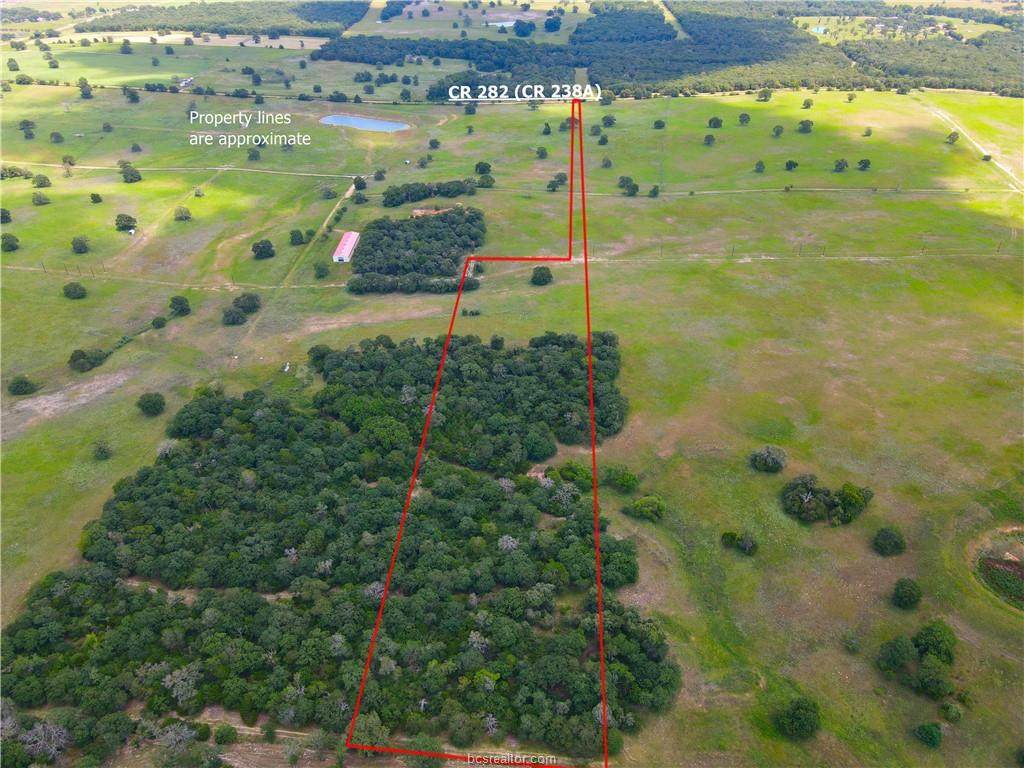 TBD County Road 238A Lot 20 - Photo 1
