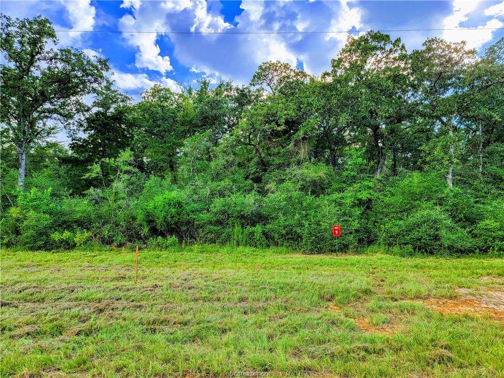 TBD - Lot 1 Sawmill Road - Photo 1