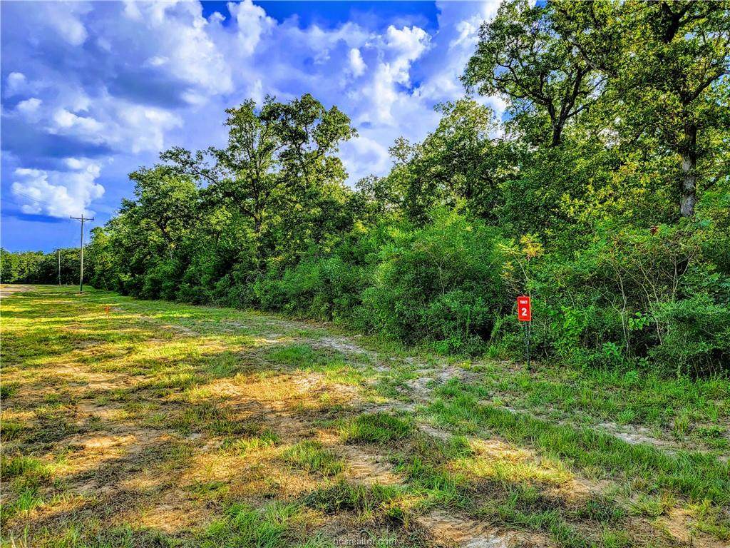TBD - Lot 2 Sawmill Road - Photo 1