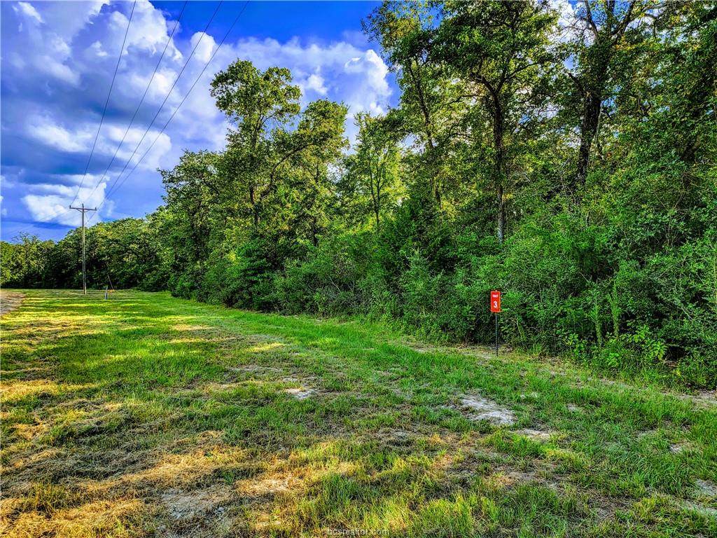 TBD - Lot 3 Sawmill Road - Photo 1