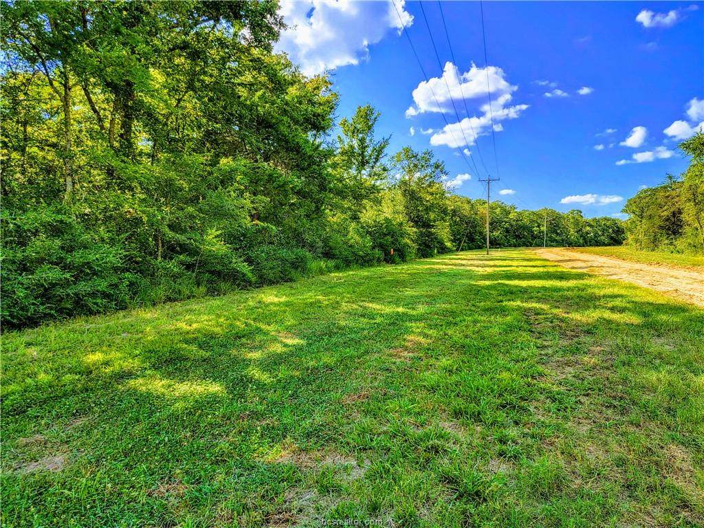 TBD - Lot 5 Sawmill Road - Photo 1