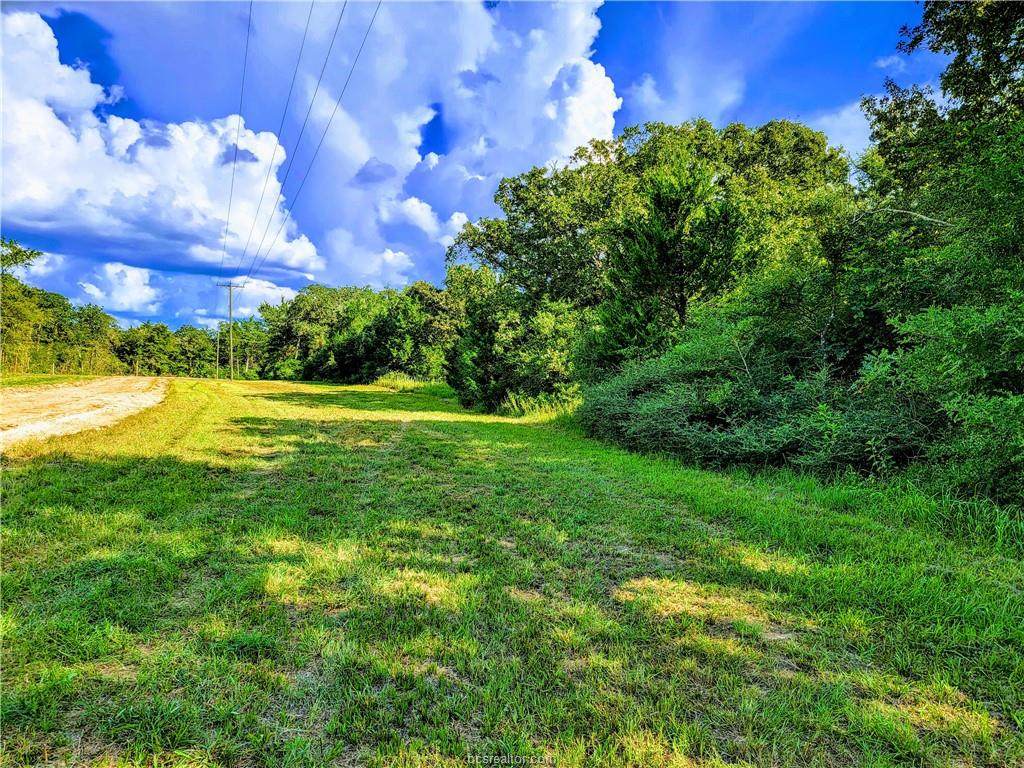 TBD - Lot 7 Sawmill Road - Photo 1