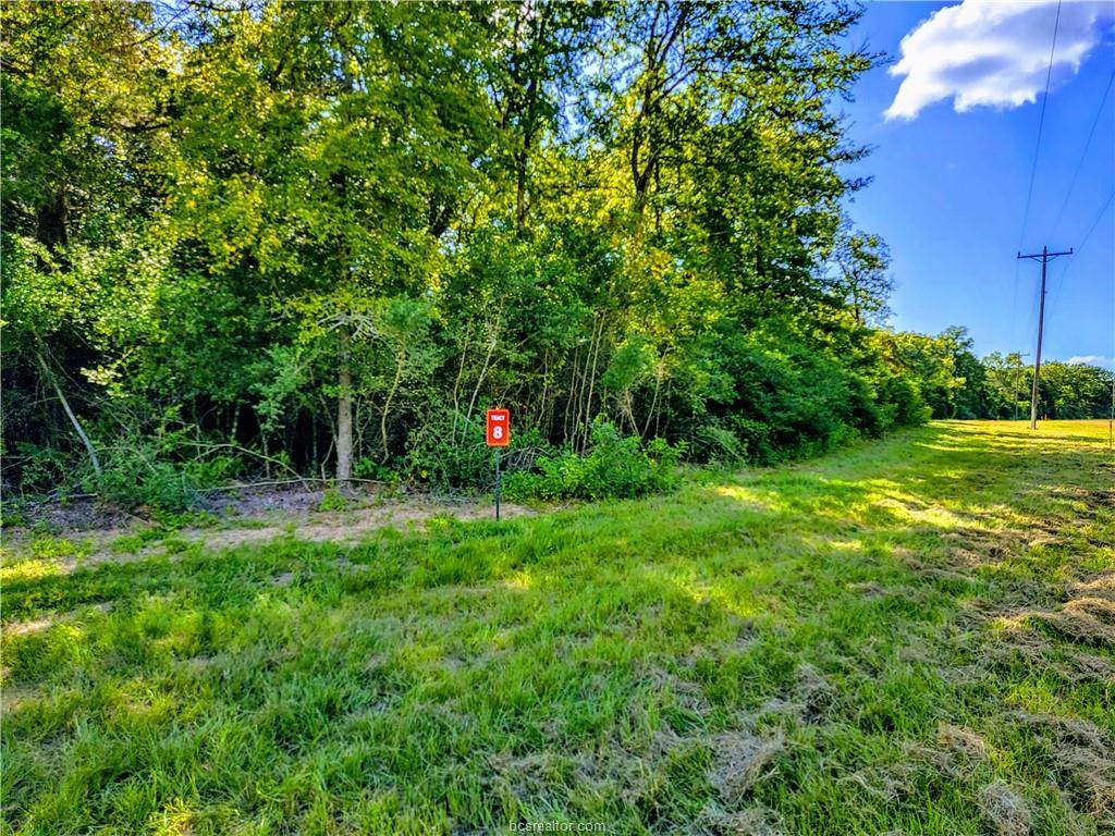 TBD - Lot 8 Sawmill Road - Photo 1