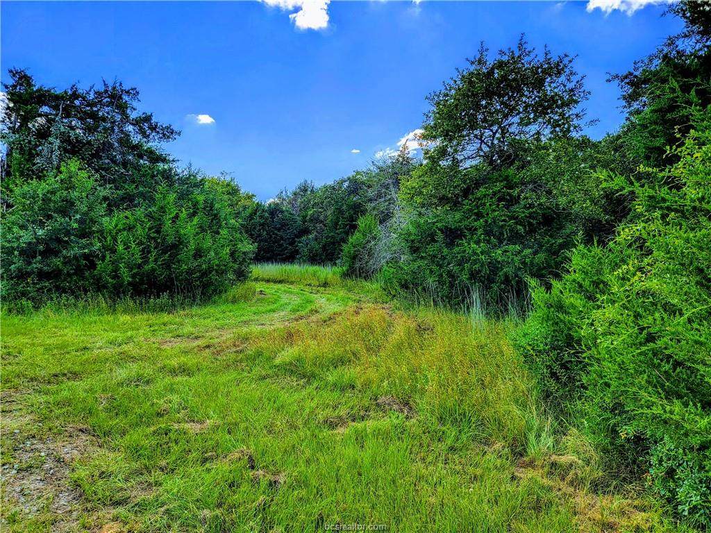 TBD - Lot 9 Sawmill Road - Photo 1