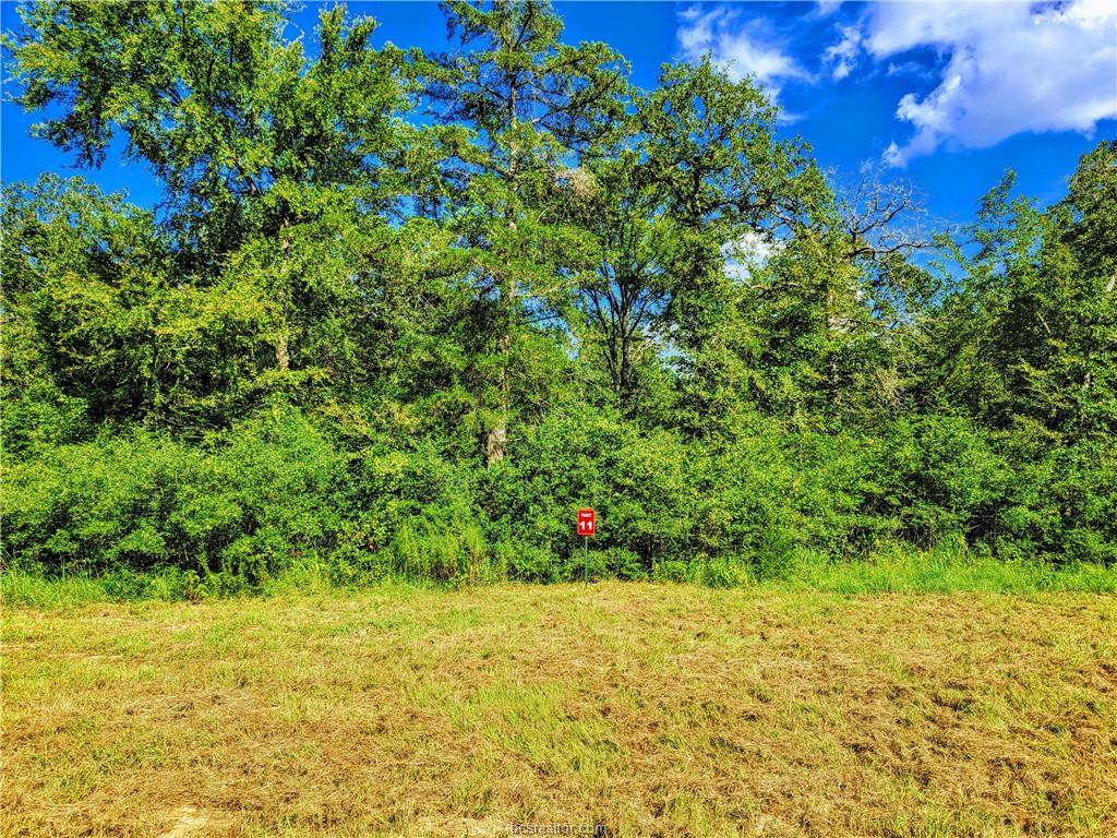 TBD - Lot 11 Sawmill Road - Photo 1