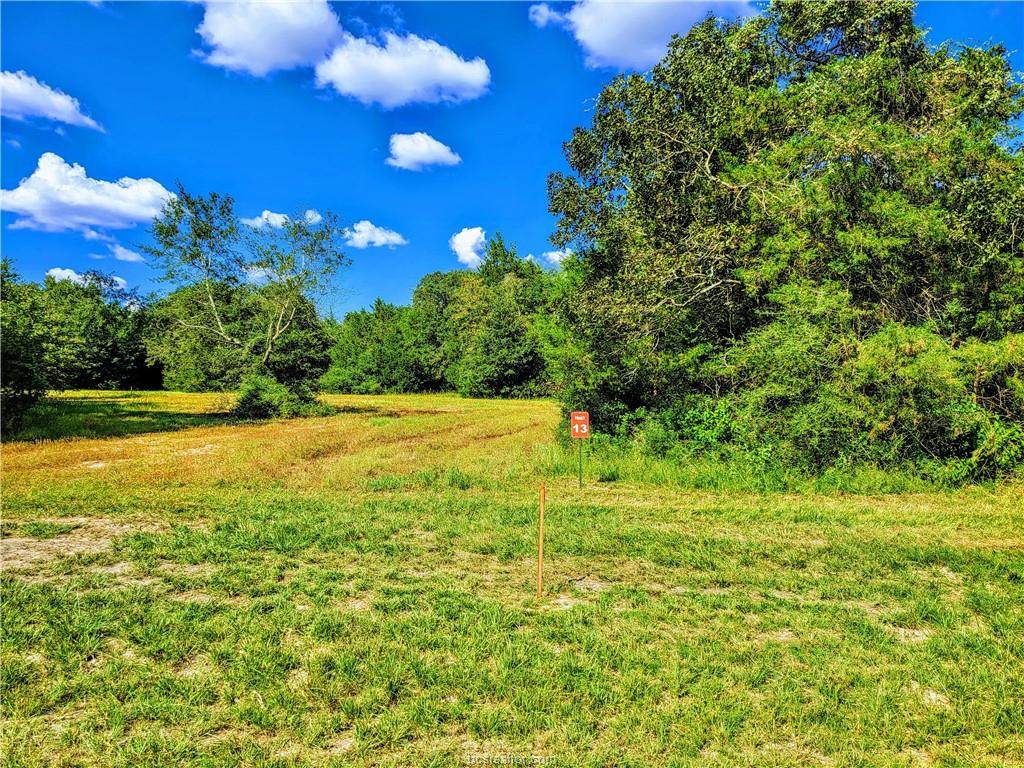 TBD - Lot 13 Sawmill Road - Photo 1