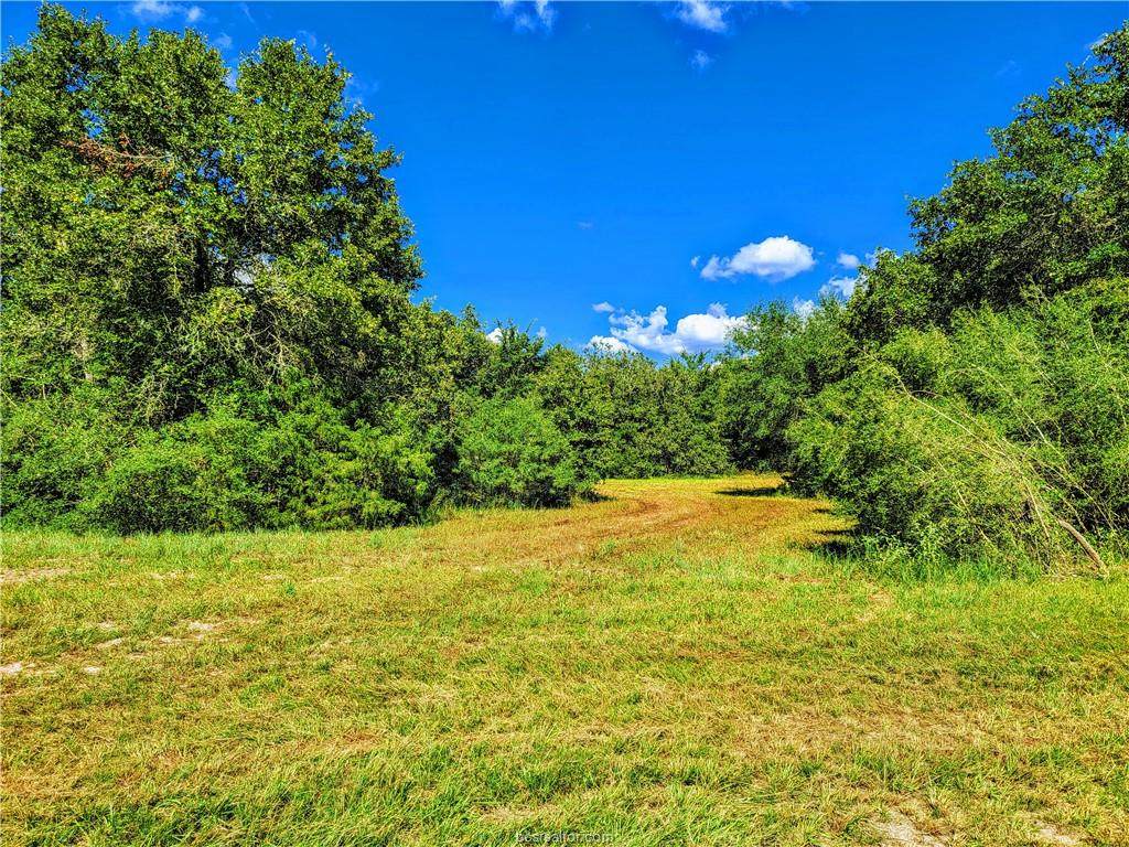 TBD - Lot 14 Sawmill Road - Photo 1