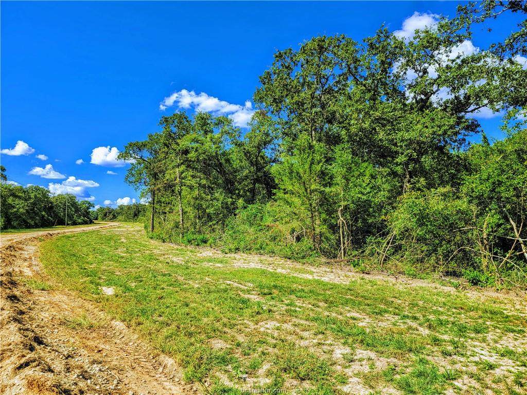 TBD - Lot 16 Sawmill Road - Photo 1