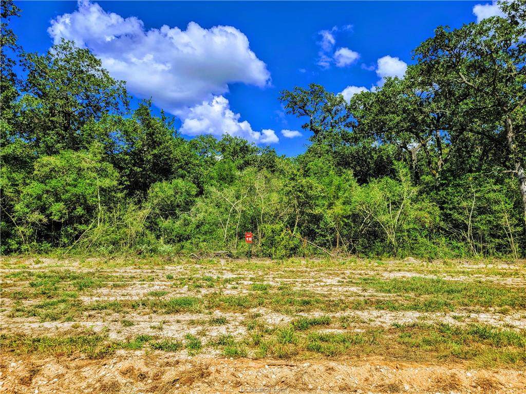 TBD - Lot 18 Sawmill Road - Photo 1
