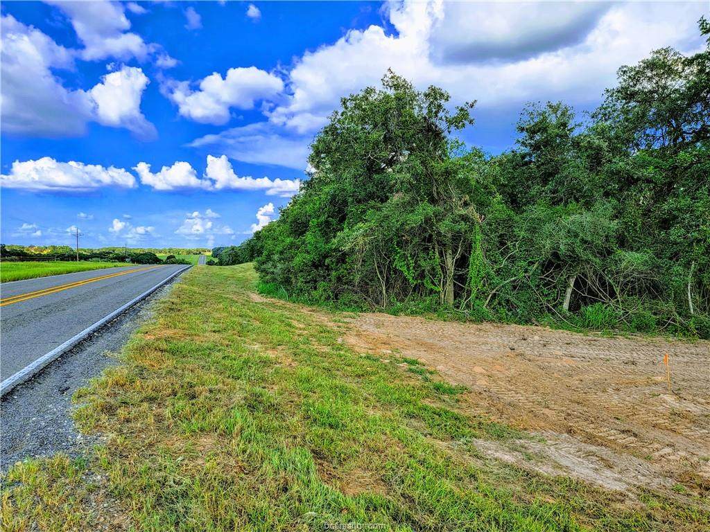 TBD - Lot 19 Sawmill Road - Photo 1