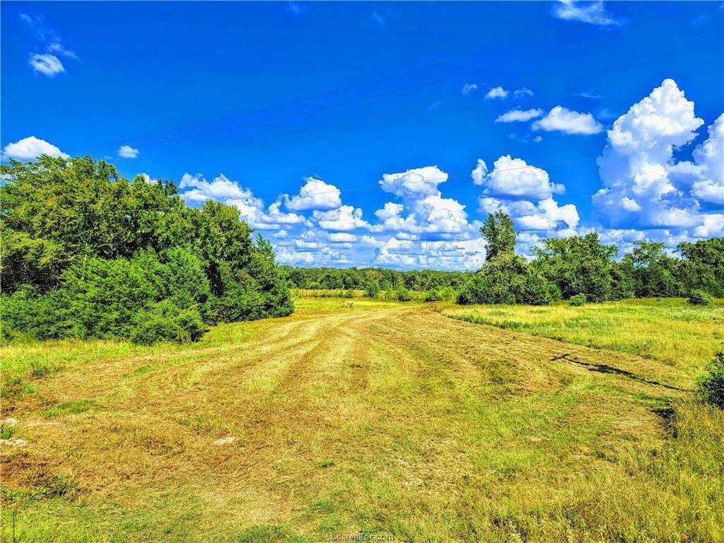 TBD - Lot 10 Sawmill Road - Photo 1