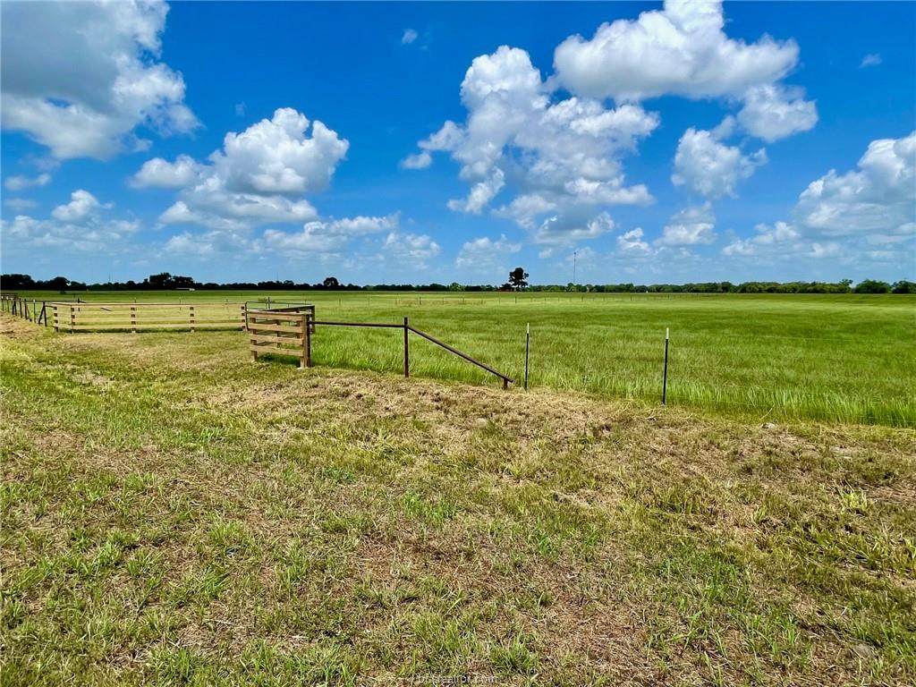 864 Raccoon Bend Road - Photo 1