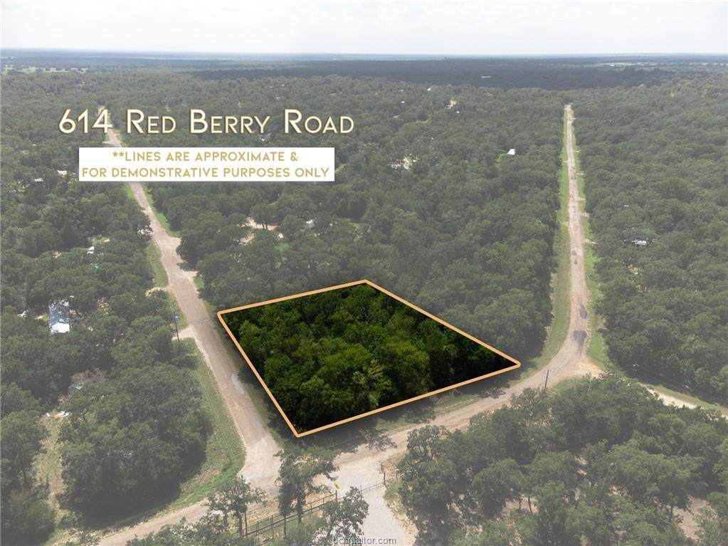 614 Redberry Road - Photo 1