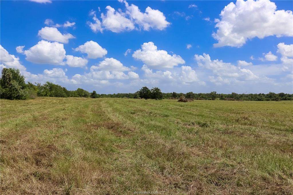 Lot 18 County Rd 219 - Photo 1