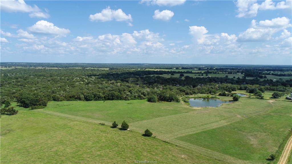 +/-13 ac TBD Webb Cemetery Road - Photo 1