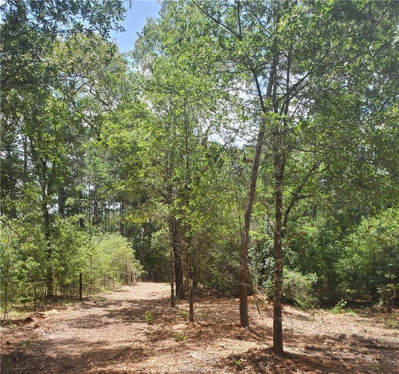 TBD Pool Rd - Photo 1