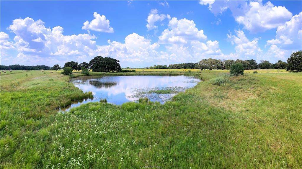 TBD Fm 2159 Farm To Market Road - Photo 1