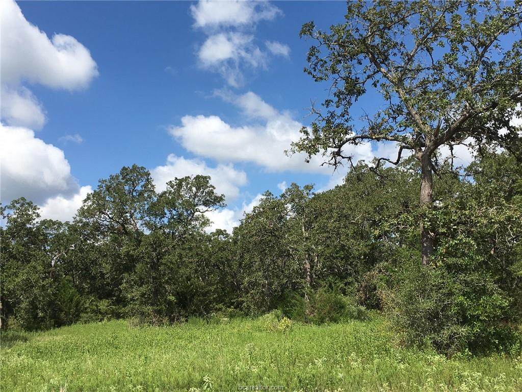 10147 Albert Drive - Photo 1