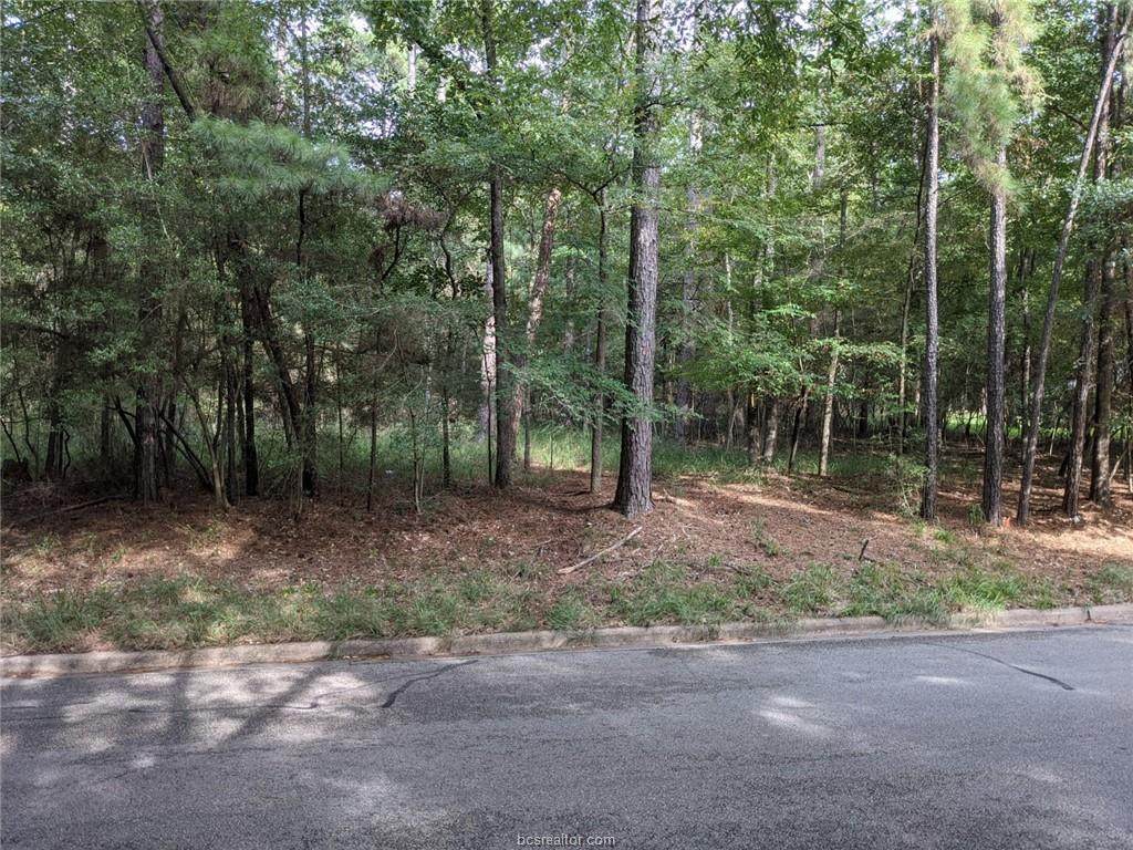 1653 Greenbriar Drive - Photo 1