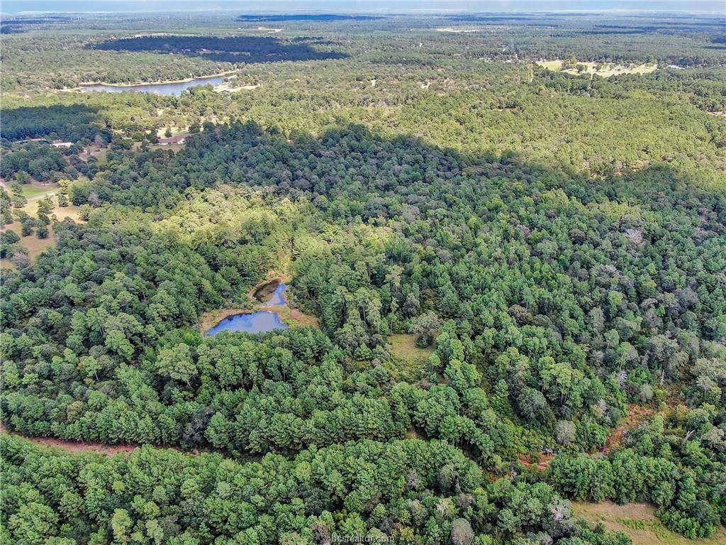 0040 County Road 302 - Photo 1