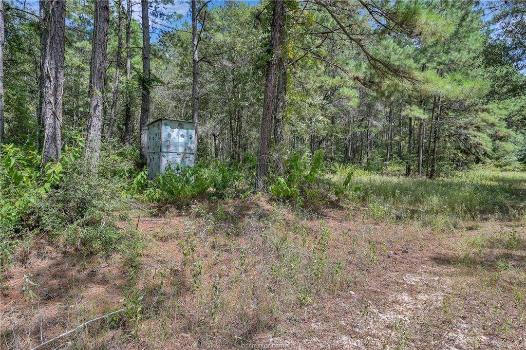 0040 County Road 302 - Photo 1